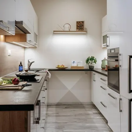 Spacious 2br Vrsovice | Ac • Netflix • Cozy Prag